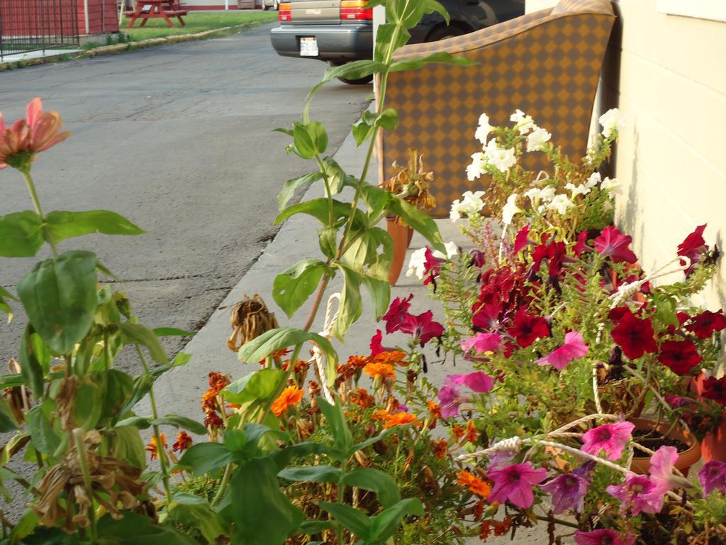 Star Inn By Elevate Rooms Niagara Falls Ngoại thất bức ảnh